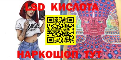 прущие крисы Бердск