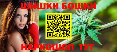 прущие крисы Бердск