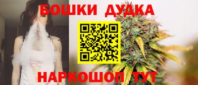 прущие крисы Бердск