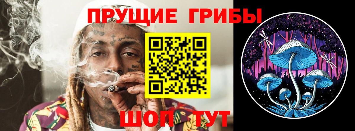 Альметьевск  Галлюциногенные грибы прущие грибы  Вход с VPN 
