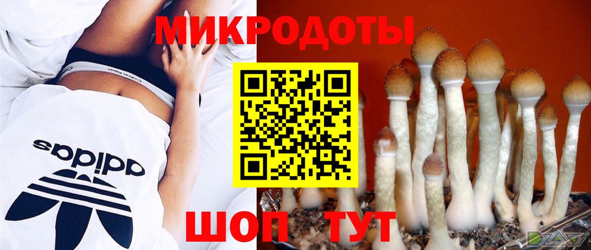 Галлюциногенные грибы мицелий Альметьевск